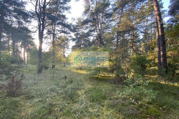 mazowieckie, wyszkowski, Somianka, Popowo-Parcele, Działka rekreacyjna, Popowo Letnisko 2807m2