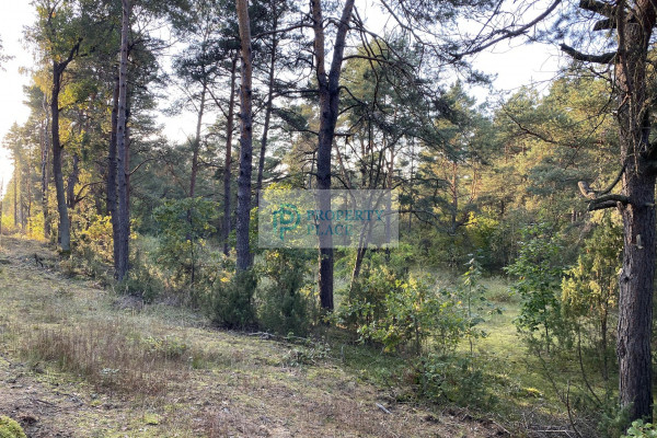 mazowieckie, wyszkowski, Somianka, Popowo-Parcele, Działka rekreacyjna, Popowo Letnisko 2401m2